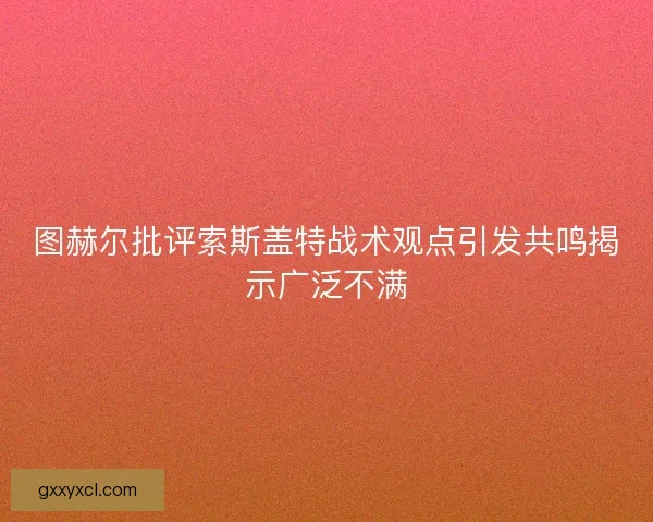 图赫尔批评索斯盖特战术观点引发共鸣揭示广泛不满
