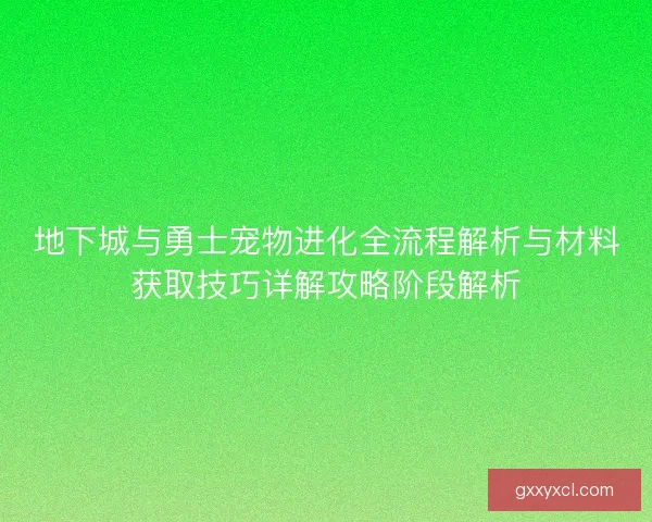 地下城与勇士宠物进化全流程解析与材料获取技巧详解攻略阶段解析