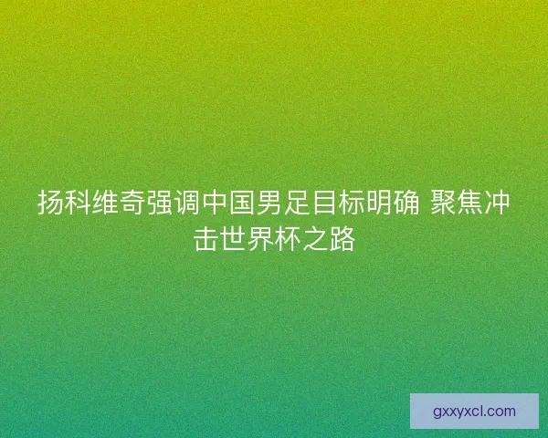 扬科维奇强调中国男足目标明确 聚焦冲击世界杯之路