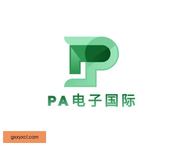 认识PA电子